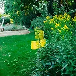 Mit Kamin Und Garten, Seenah *