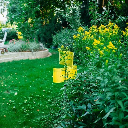 Mit Kamin Und Garten, Seenah *