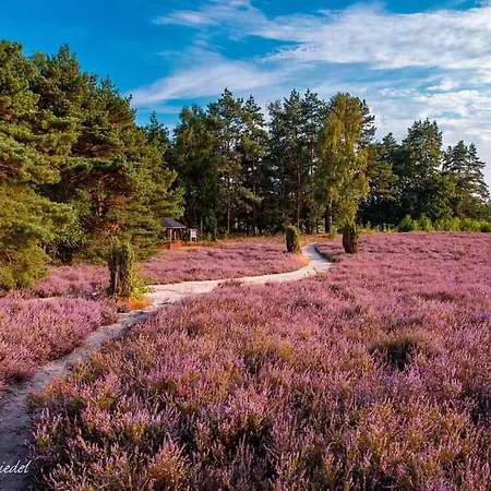 Mit Kamin Und Garten, Seenah * Lembruch